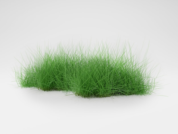 Фото 3d визуализация травы на белом фоне