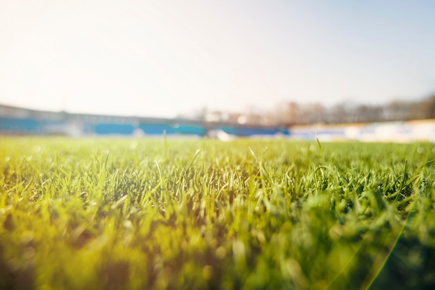 Травяная трава на стадионе