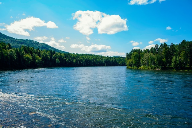 Фото Вид на широкую горную реку летом