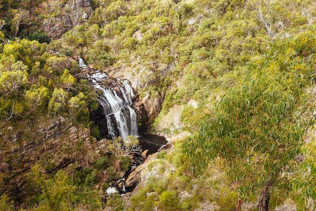 Photo the world famous mackenzie falls in the central grampians victoria australia