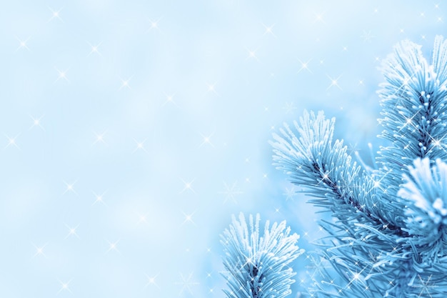 Фото Синее рождественское дерево с белым фоном с крестом на нем
