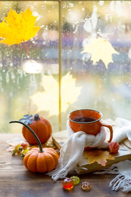 Фото Оранжевая кружка в шарфе с горячим чаем тыквы желтые сухие кленовые листья книга на подоконнике капли дождя на окне осеннее настроение