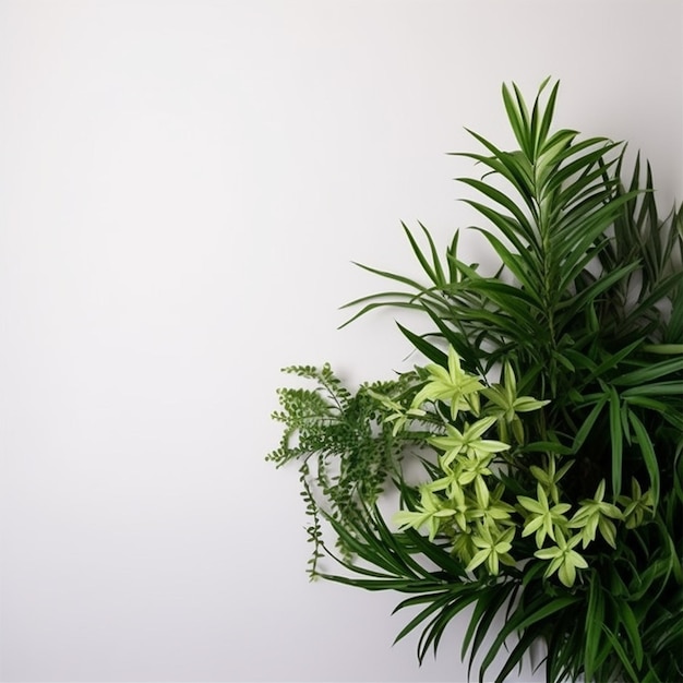 Photo arrangement of green plant with copy space