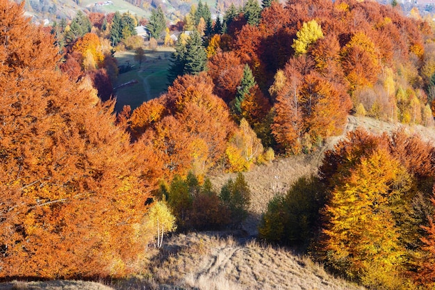 Осенние Карпаты Украина