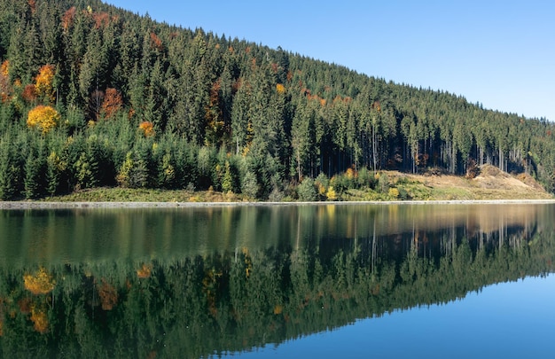 Осенний лес и озеро в горной местности на естественном фоне