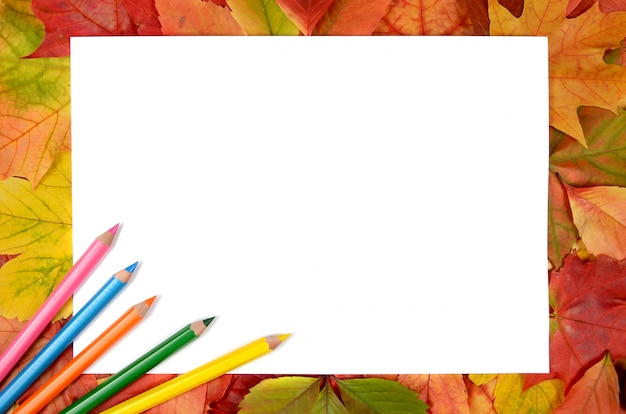 Фото Осенние листья, карандаши и лист бумаги фона