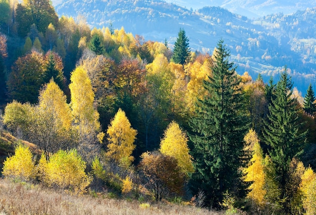 Осенний горный перевал Нимчич, Карпаты, Украина и красочные деревья на холме.