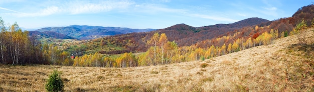 Осенняя горная панорама и березовый лес на склоне горы. (Карпаты, Украина). Изображение сшивается тремя кадрами.