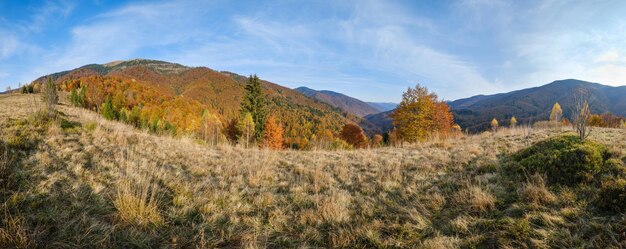 Фото Осеннее утро карпаты спокойная живописная сцена украина мирное путешествие сезонной природы и концепция красоты сельской местности
