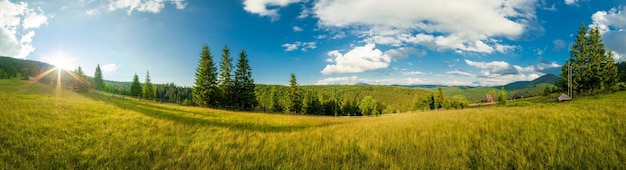 Фото Красивая природа и прекрасный пейзаж с пышными зелеными лесами и растительностью в синевирской долине карпатских гор в украине свежие зеленые луга и цветущие полевые цветы