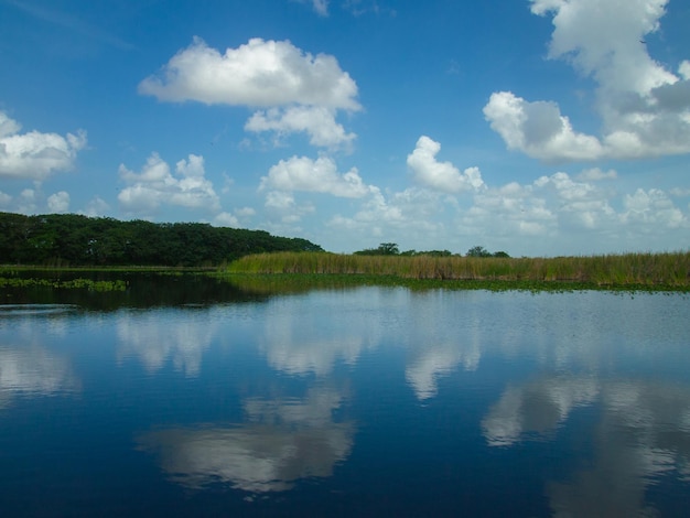 A Beautiful view of Everglades Swamp on Summer