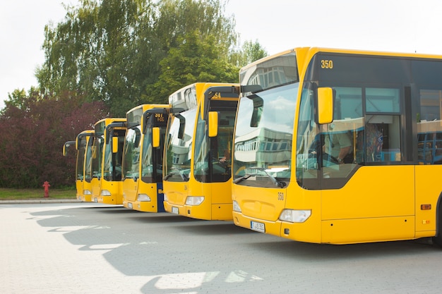 Автобусы, стоящие в ряду на автовокзале