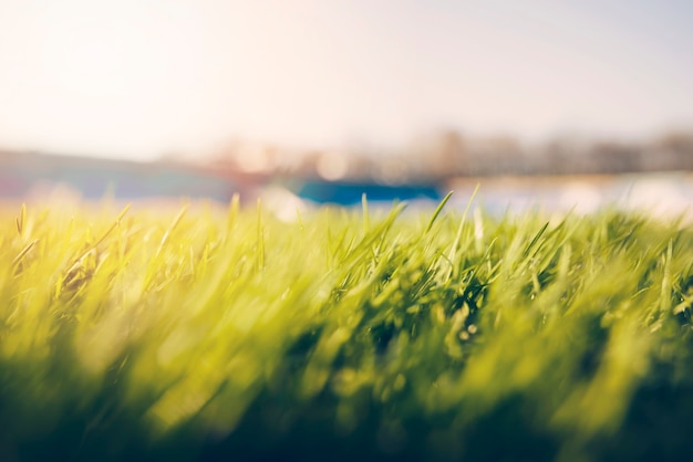 Крупный план травы на футбольном поле