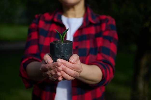 Фото Руки садовника крупным планом держат горшок с ростком, растущим в черноземе сельское хозяйство и сельскохозяйственное хобби садоводство садоводство