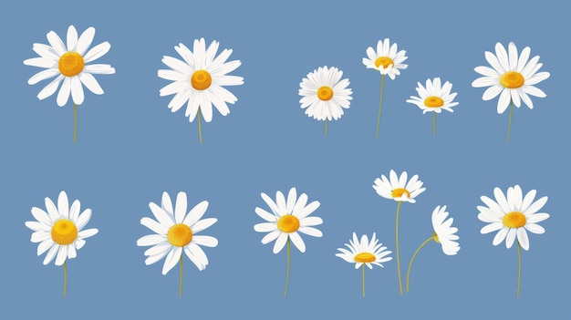 Photo daisy logo designs chamomile flower icons spring floral elements blossom flowers with white petals modern set of doodle daisies