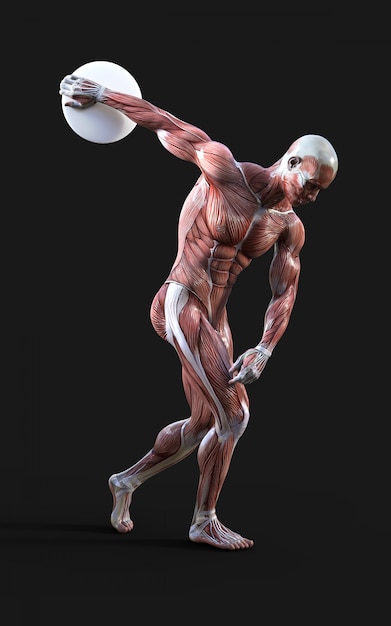 Photo discobolus - 3d render of male figures pose with muscle