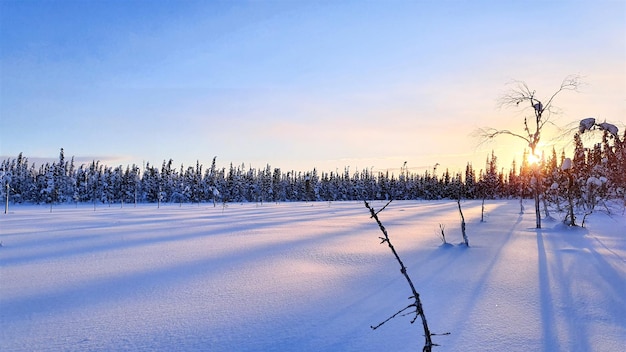 Foto een schilderachtig uitzicht op een met sneeuw bedekt veld tegen de lucht