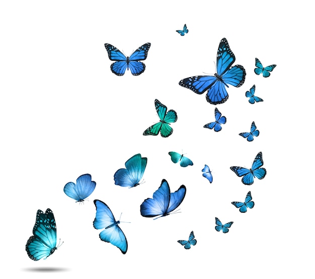 Photo a flock of colorful flying butterflies isolated on a white background. high quality photo