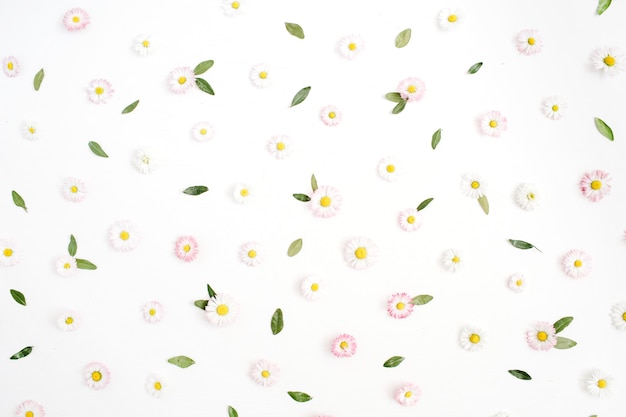 사진 흰색과 분홍색 카모마일 데이지 꽃으로 만든 꽃 패턴, 흰색에 녹색 잎.
