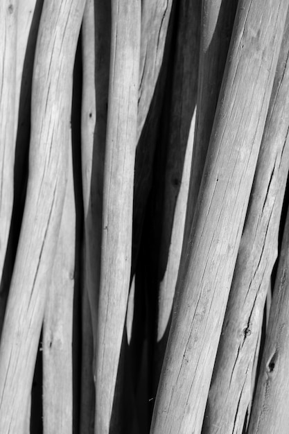写真 竹のフルフレームショット