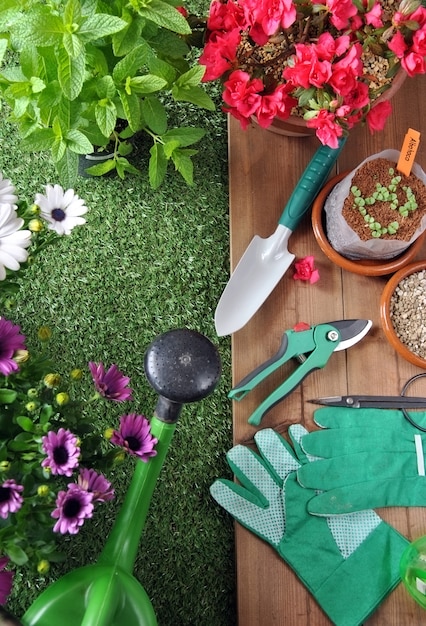 Foto attrezzi da giardino su erba e tavolo in legno con vari tipi di piante