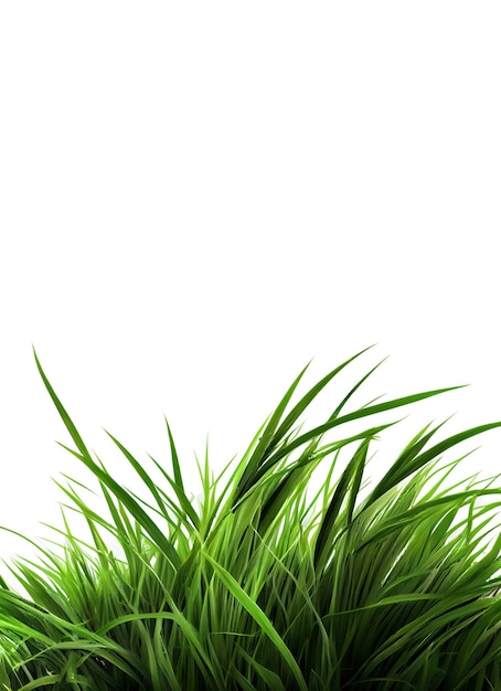Фото Зеленая трава на белом фоне, созданная с помощью генеративного ии