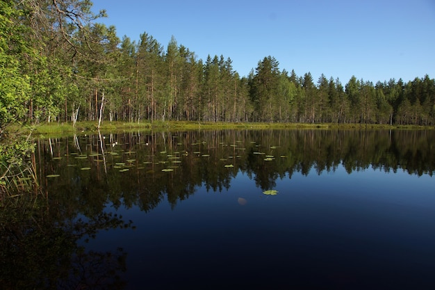 Фото Пейзаж с голубым озером и отражающимся лесом на берегу.