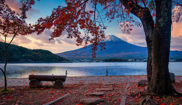 Фото Гора фудзи над озером кавагучико с осенней листьями на рассвете в фудзикавагучико, япония