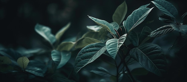 Граница естественного фона со свежими сочными листьями AI Generated Image