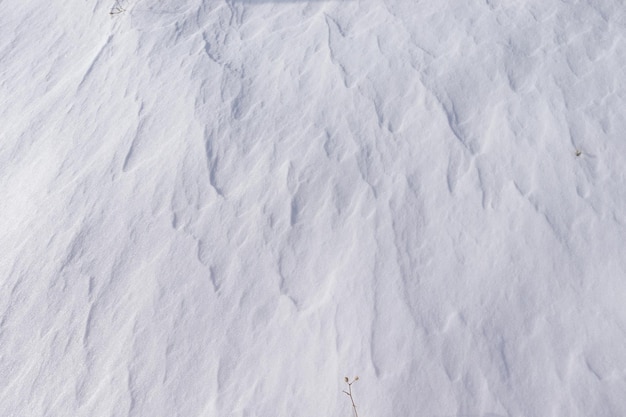 Фото Образцы на снегу текстура фона