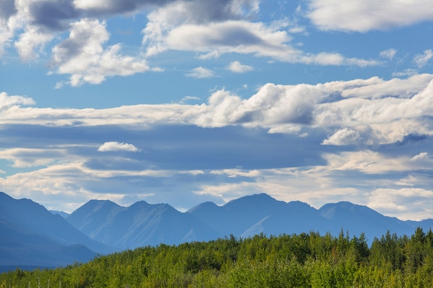Фото Живописный вид на горы в канадских скалистых горах в летний сезон
