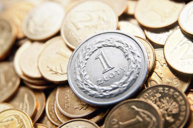 Фото Польская валюта с монетами злотых