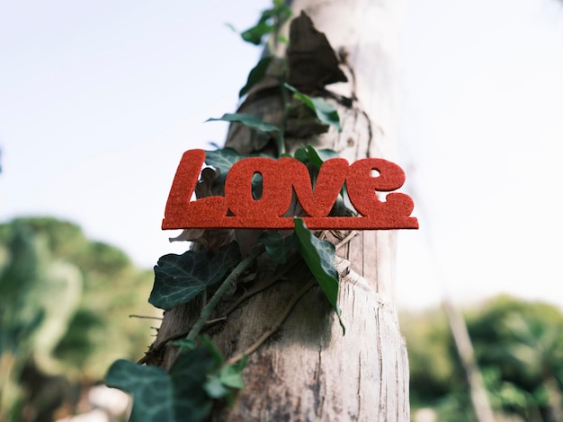 Красная декоративная любовная надпись на дереве