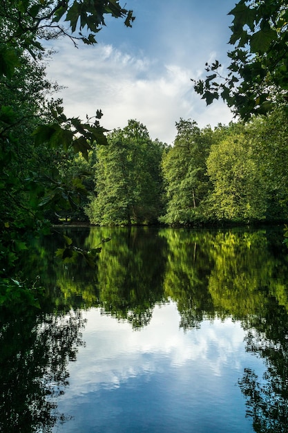 Фото Отражение деревьев в озере на небе