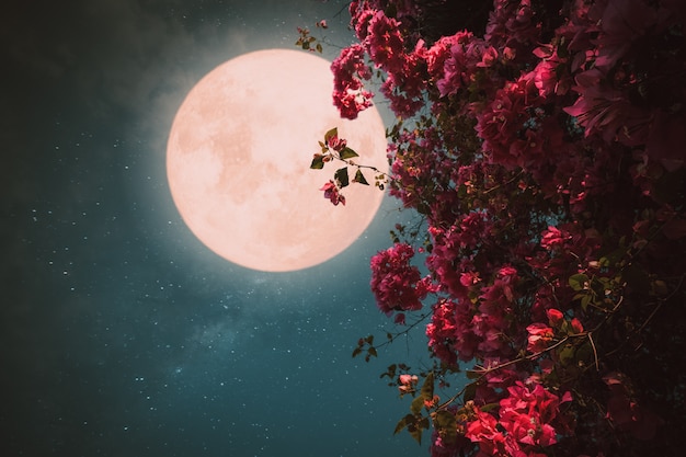 Photo romantic night scene, beautiful pink flower blossom in night skies with full moon., retro style artwork with vintage color tone.