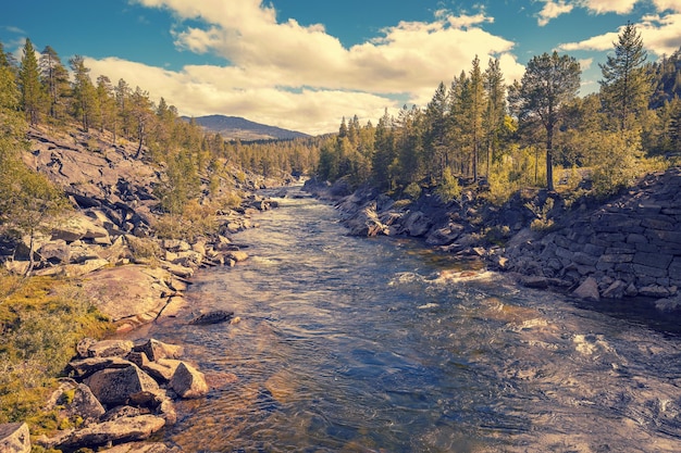 Photo rough mountain river beautiful nature of norway