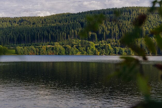 Фото Красивый вид на озеро в лесу