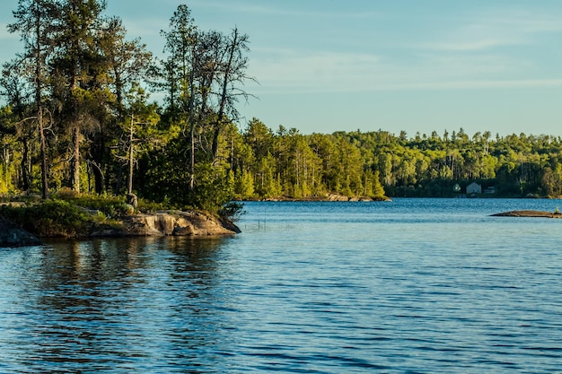 Фото Красивый вид на озеро с деревьями на заднем плане