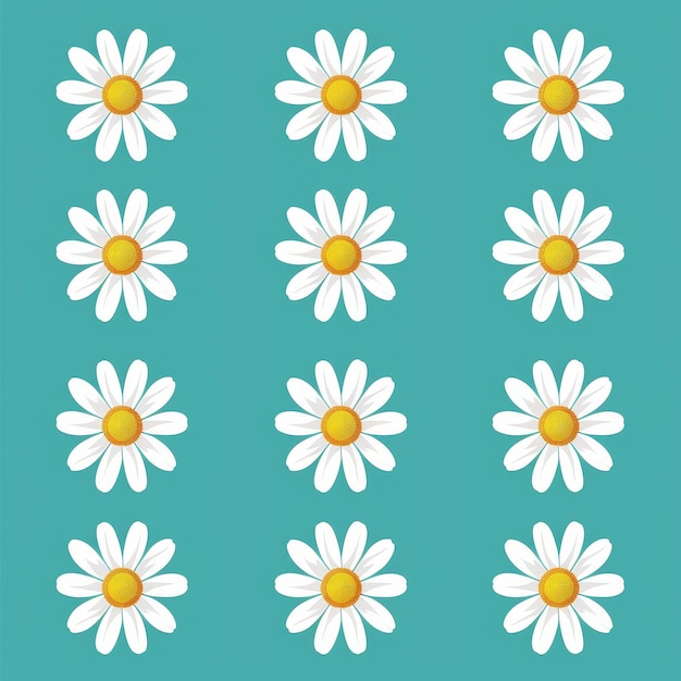 Photo set of white daisy chamomile icons round flower collection growing concept flat design green background isolated
