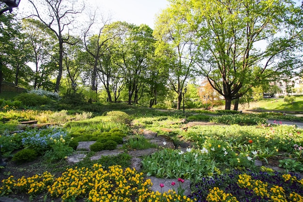 Фото Сезон весеннего цветения в городском общественном парке