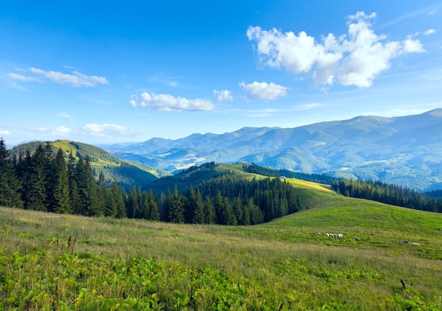 Фото Летний пейзаж горного плато с грязной дорогой на вершине холма
