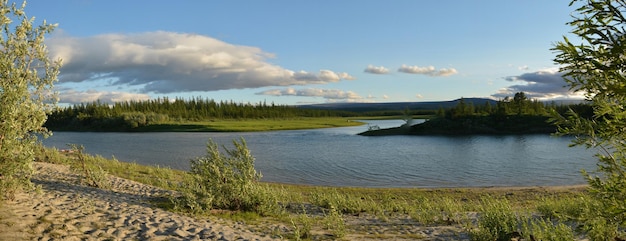 Фото Летняя панорама реки на ямале