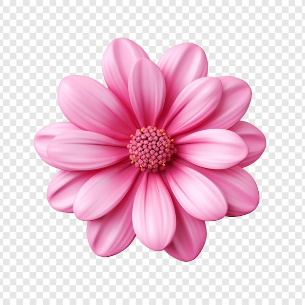 PSD grátis 3d flor rosa isolada em fundo transparente
