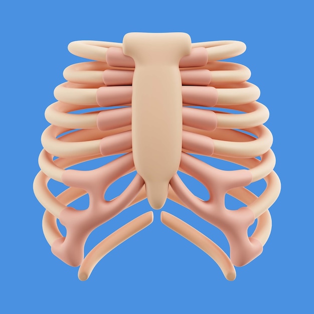 PSD grátis renderização 3d do ícone do corpo humano