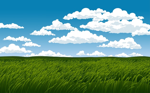 Vetor campo de grama verde em dia nublado