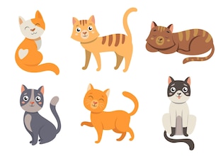 ilustraciones de gato