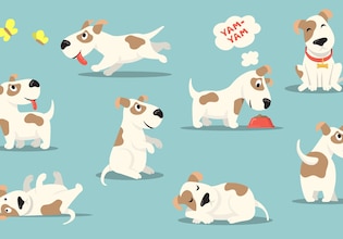 ilustraciones de perro