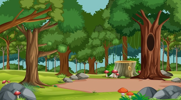 Vector gratuito escena del bosque con varios árboles forestales.
