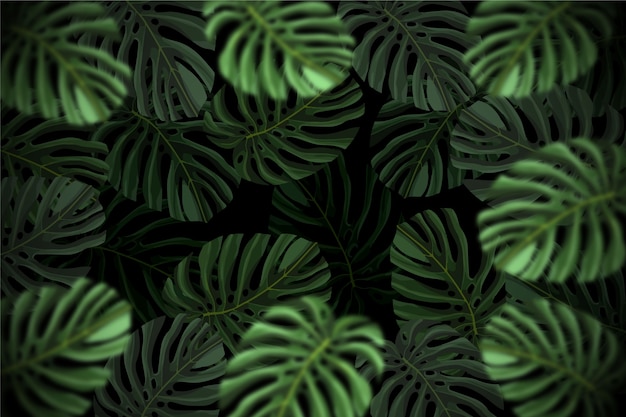 Vector gratuito fondo de hojas tropicales oscuro realista