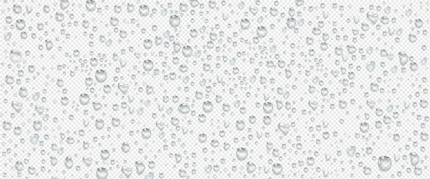 Vector gratuito gotas de agua de condensación en transparente